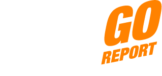 Offizielles ADDIGO Logo